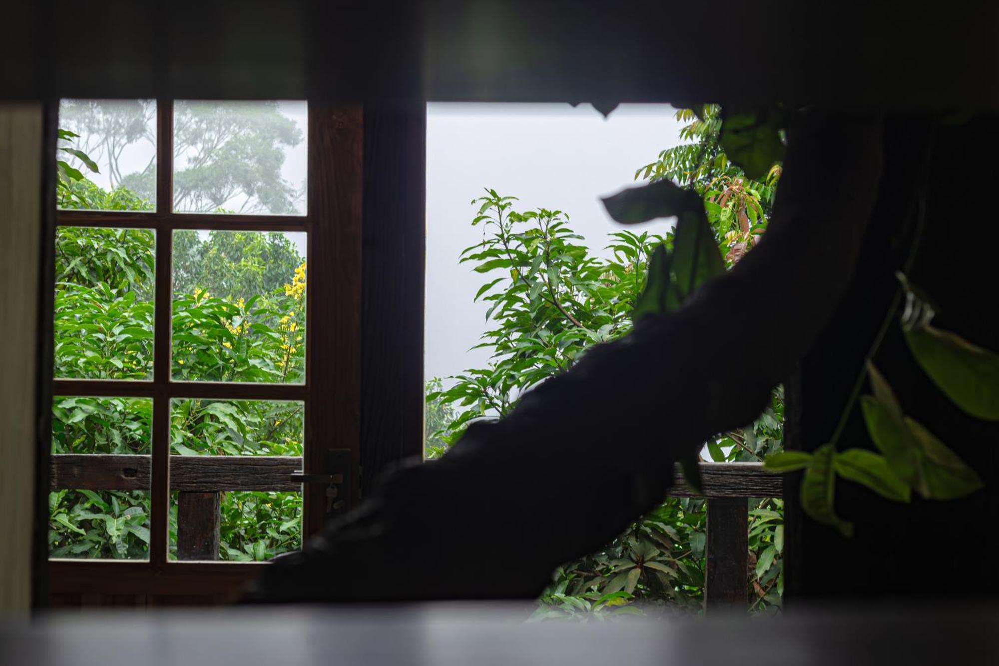 Arana Sri Lanka Eco Lodge And Yoga Center Ella Exterior photo